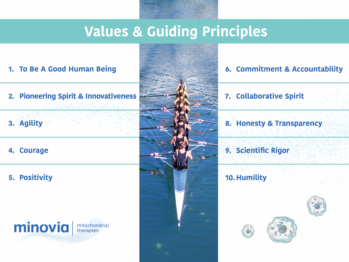 Values & Guiding Principles